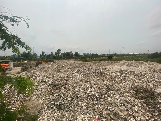 Ra quyết định khởi tố chủ cơ sở chế biến h&agrave;u Phạm Thị Thắm SN 1978- Ảnh 1.