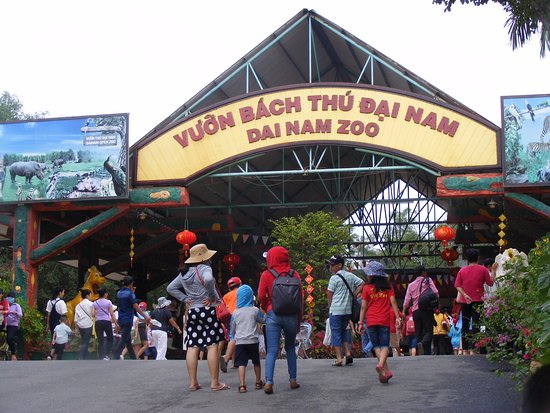 Tin rất vui: Đúng ngày 1/6, trường hợp đặc biệt này trên toàn quốc được miễn phí một dịch vụ - Ảnh 3.