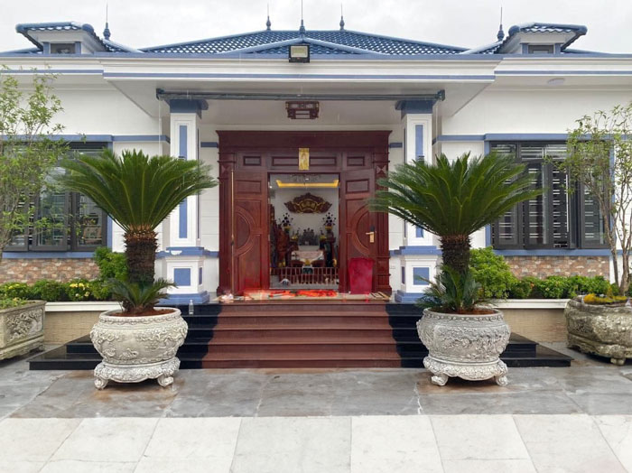 Lợi &iacute;ch khi trồng c&acirc;y vạn tuế- Ảnh 1.