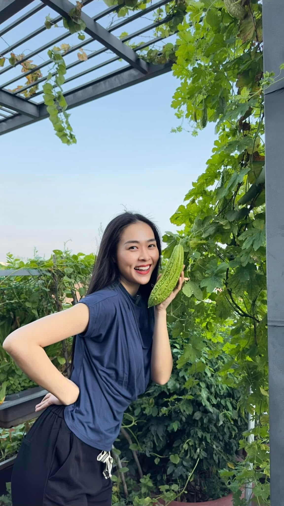 Mỹ nh&acirc;n Việt l&agrave;m chủ 3 c&ocirc;ng ty, sống trong nh&agrave; phố 100m2, s&acirc;n thượng trồng g&igrave; m&agrave; l&uacute;c n&agrave;o cũng trĩu quả?- Ảnh 5.