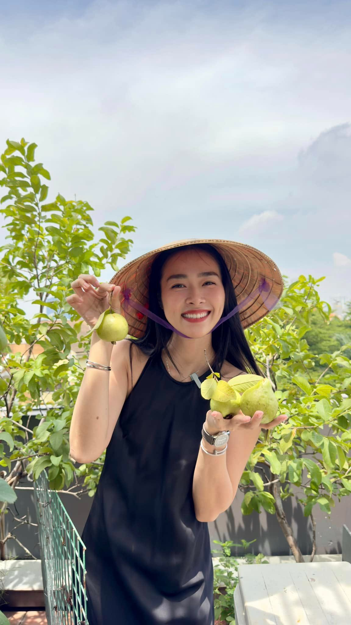 Mỹ nh&acirc;n Việt l&agrave;m chủ 3 c&ocirc;ng ty, sống trong nh&agrave; phố 100m2, s&acirc;n thượng trồng g&igrave; m&agrave; l&uacute;c n&agrave;o cũng trĩu quả?- Ảnh 3.
