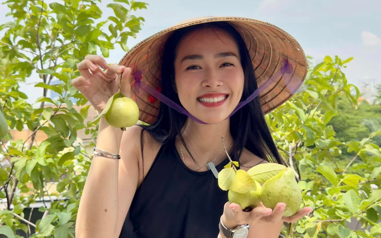 Mỹ nh&acirc;n Việt l&agrave;m chủ 3 c&ocirc;ng ty, sống trong nh&agrave; phố 100m2, s&acirc;n thượng trồng g&igrave; m&agrave; l&uacute;c n&agrave;o cũng trĩu quả?- Ảnh 1.