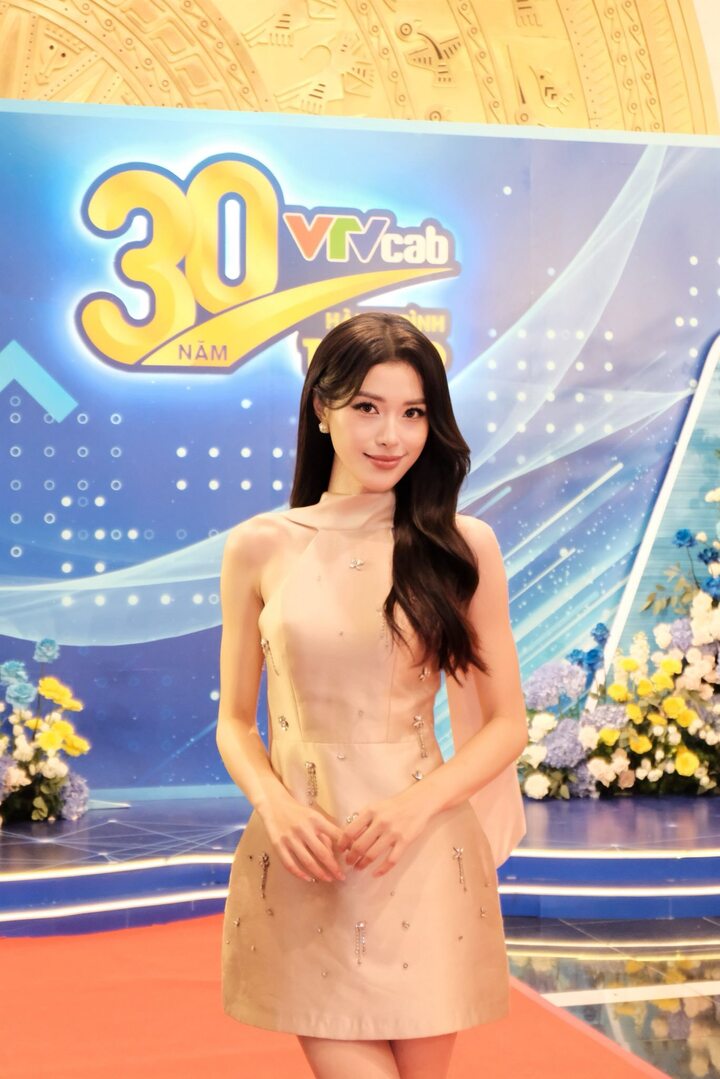 Nhan sắc nữ MC VTV l&agrave; hoa kh&ocirc;i b&oacute;ng chuyền, lọt top 10 hoa hậu Ho&agrave;n vũ Việt Nam- Ảnh 6.