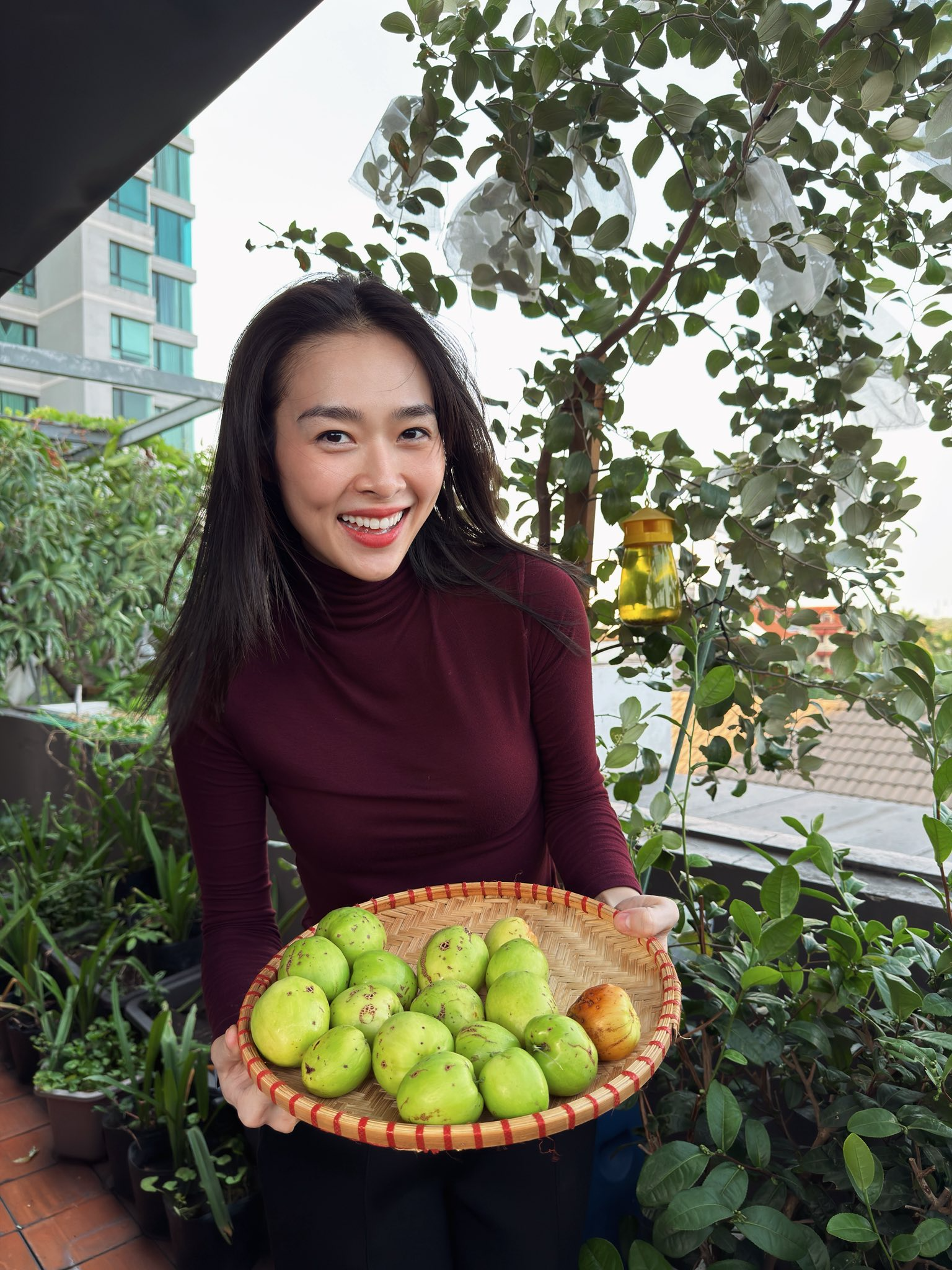 Mỹ nh&acirc;n Việt l&agrave;m chủ 3 c&ocirc;ng ty, sống trong nh&agrave; phố 100m2, s&acirc;n thượng trồng g&igrave; m&agrave; l&uacute;c n&agrave;o cũng trĩu quả?- Ảnh 2.
