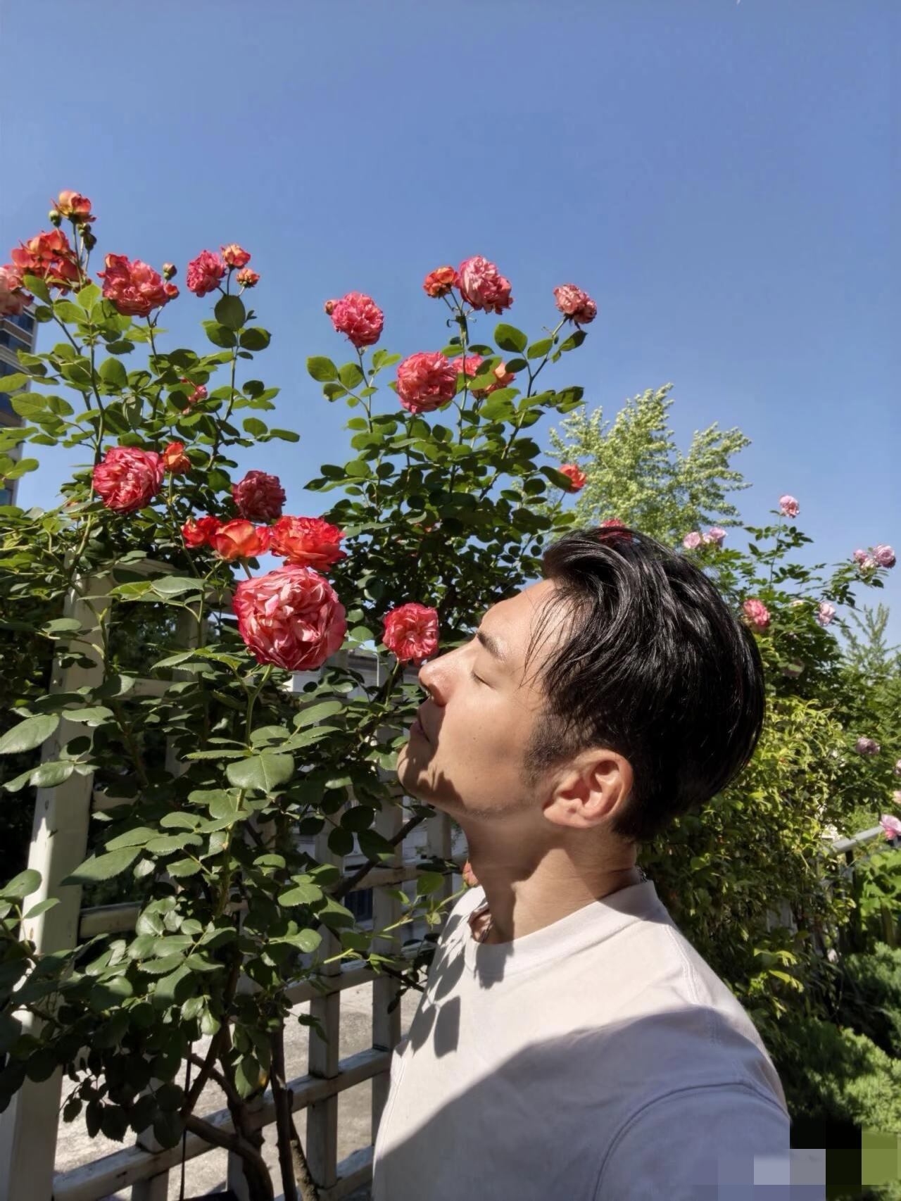 Từ bỏ h&agrave;o quang showbiz, "Đệ nhất mỹ nam cổ trang" vạn người m&ecirc; nay h&igrave; hục... bới đất nhặt giun giữa biệt thự tại Thượng Hải- Ảnh 3.