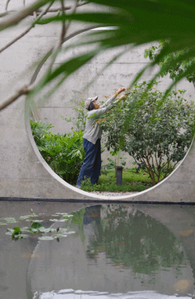 T&ocirc;i chi 2 tỷ x&acirc;y nh&agrave; 680m&sup2; cho bố mẹ ở qu&ecirc; v&agrave; nhận ra: Tiền kh&ocirc;ng đặt đ&uacute;ng chỗ th&igrave; c&agrave;ng để c&agrave;ng tốn- Ảnh 20.
