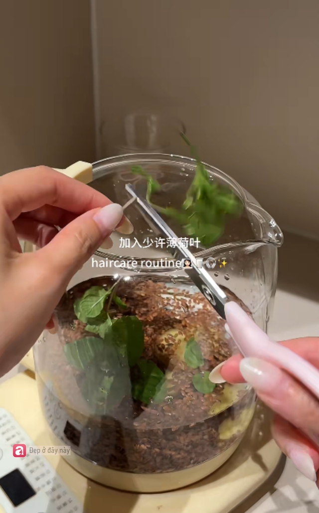 Ủ t&oacute;c kiểu &ldquo;detox&rdquo; da đầu: Hạt lanh, gừng v&agrave; bạc h&agrave; đang được khen hết lời- Ảnh 3.
