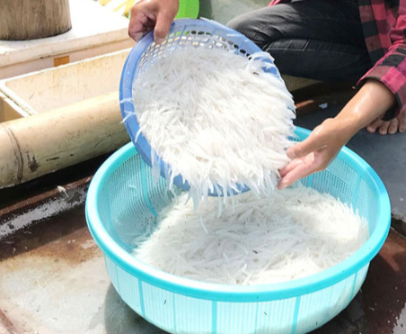 "Ngọc trong nước" độc nhất ở s&ocirc;ng Đ&agrave;, cực bổ dưỡng người gi&agrave; v&agrave; trẻ nhỏ đều th&iacute;ch - Ảnh 2.