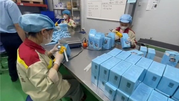 Kh&aacute;m x&eacute;t c&ocirc;ng ty, khởi tố Gi&aacute;m đốc sản xuất c&agrave; ph&ecirc; muối Vũ Thị Hương SN 1974 - Ảnh 1.