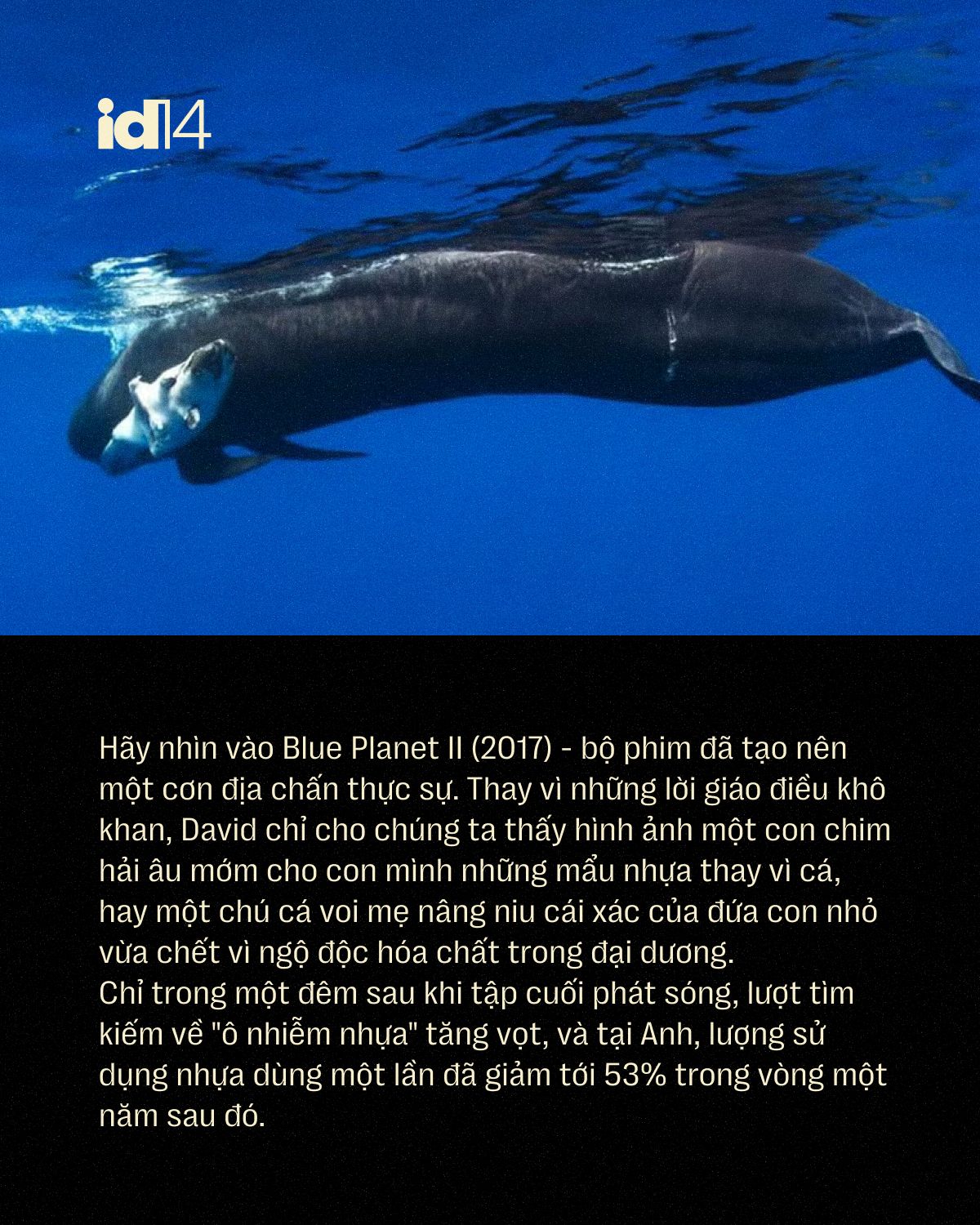 Sir David Attenborough: 100 năm sống, 70 năm l&agrave;m phim t&agrave;i liệu v&agrave; một "hiệu ứng" l&agrave;m thay đổi th&oacute;i quen của cả h&agrave;nh tinh - Ảnh 3.