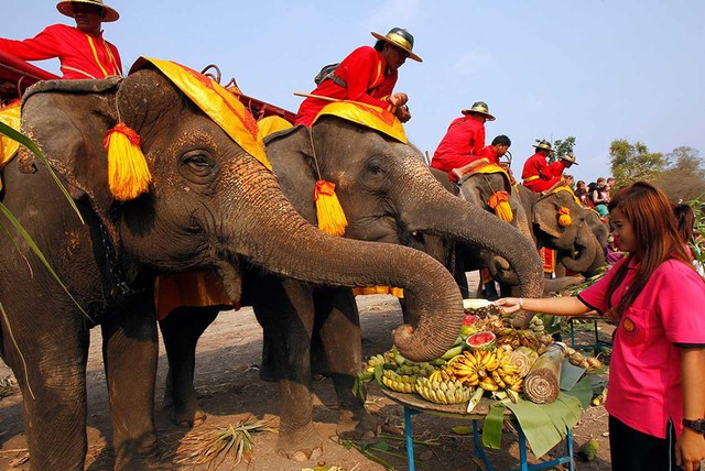 Kh&ocirc;ng phải H&agrave; Nội hay Huế, đ&acirc;y mới l&agrave; đại diện duy nhất Việt Nam lọt top 15 điểm đến ẩm thực thế giới- Ảnh 5.