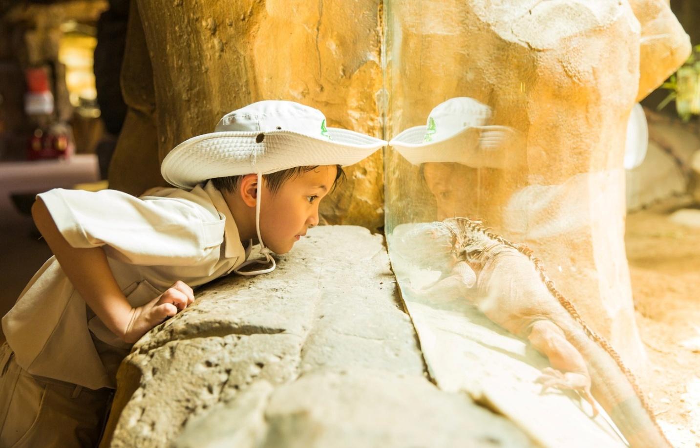 Vinwonders phối hợp cùng Quỹ Khuyến Học mang mùa hè ý nghĩa đến thiếu nhi khắp cả nước- Ảnh 5. Vinwonders phối hợp cùng Quỹ Khuyến Học mang mùa hè ý nghĩa đến thiếu nhi khắp cả nước- Ảnh 5.