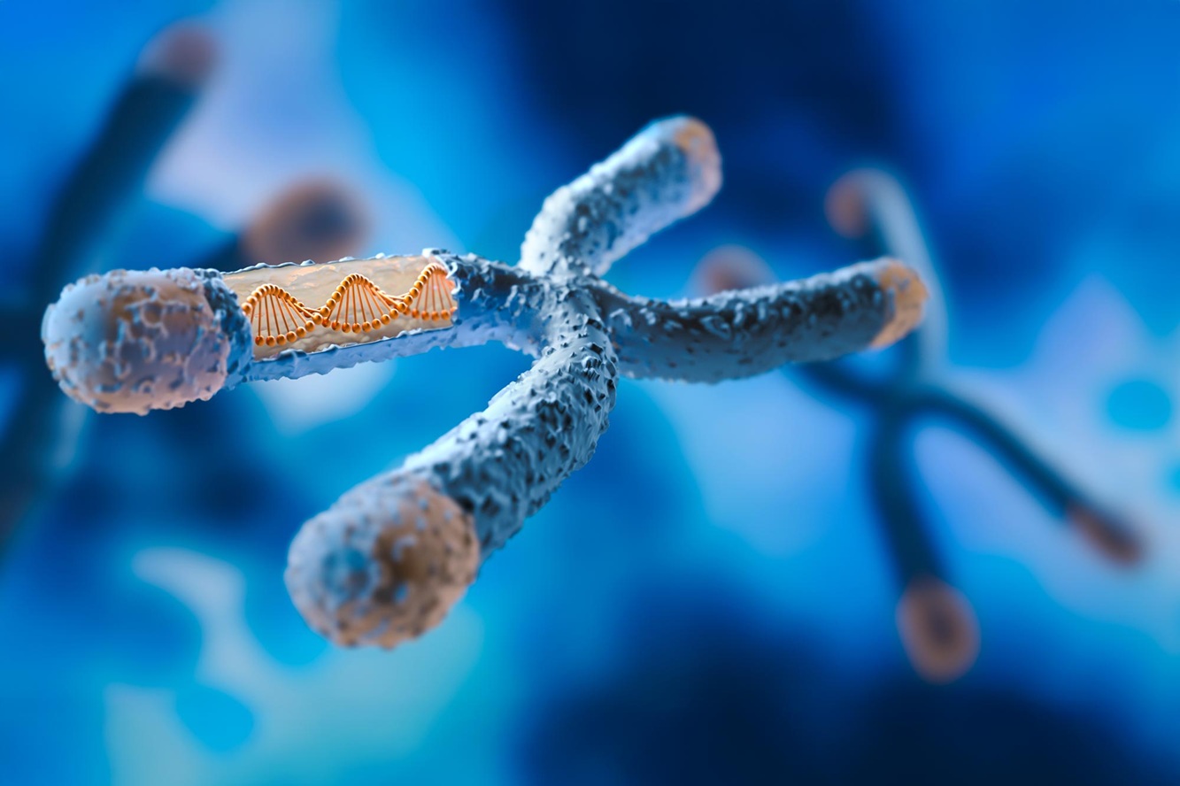 Một lỗi DNA c&oacute; thể biến chuột c&aacute;i th&agrave;nh đực: Hy vọng cho con người - Ảnh 1.