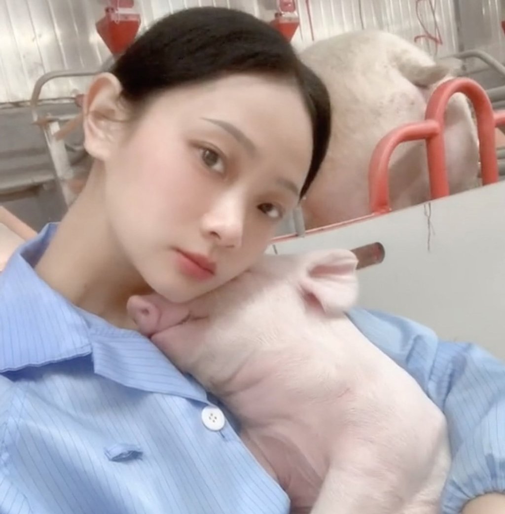 Bỏ việc tiếp vi&ecirc;n h&agrave;ng kh&ocirc;ng về qu&ecirc; nu&ocirc;i lợn, th&aacute;ng kiếm hơn 300 triệu- Ảnh 3.