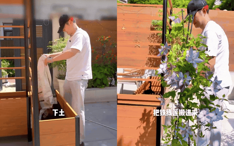 Đu trend "bỏ phố về s&acirc;n vườn": Học nam thần Nghi&ecirc;m Khoan tự tay lắp bồn, trồng hoa tạo kh&ocirc;ng gian "triệu đ&ocirc;" giữa m&ugrave;a h&egrave; oi ả- Ảnh 8.