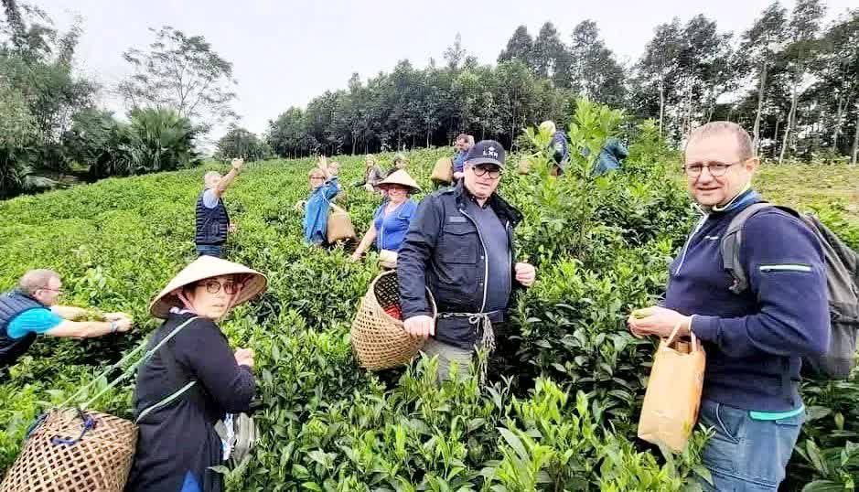 Một "Sa Pa" ẩn mình cách Hà Nội hơn 240km: Mây phủ, khí hậu mát mẻ, cảnh đẹp còn hoang sơ - Ảnh 4.
