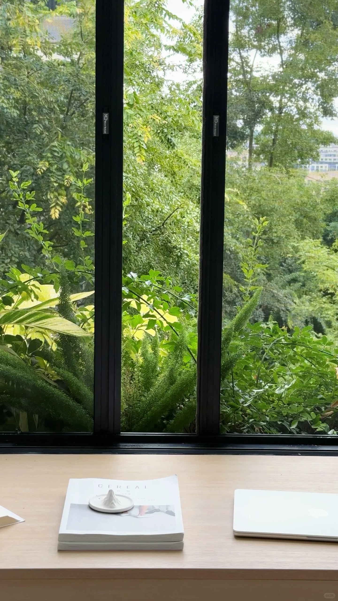 8 năm kh&ocirc;ng đi l&agrave;m vẫn mua được căn nh&agrave; thứ 2, chi 2 tỷ đồng để cải tạo v&agrave; sống như mơ ước tuổi 18 - Ảnh 3.