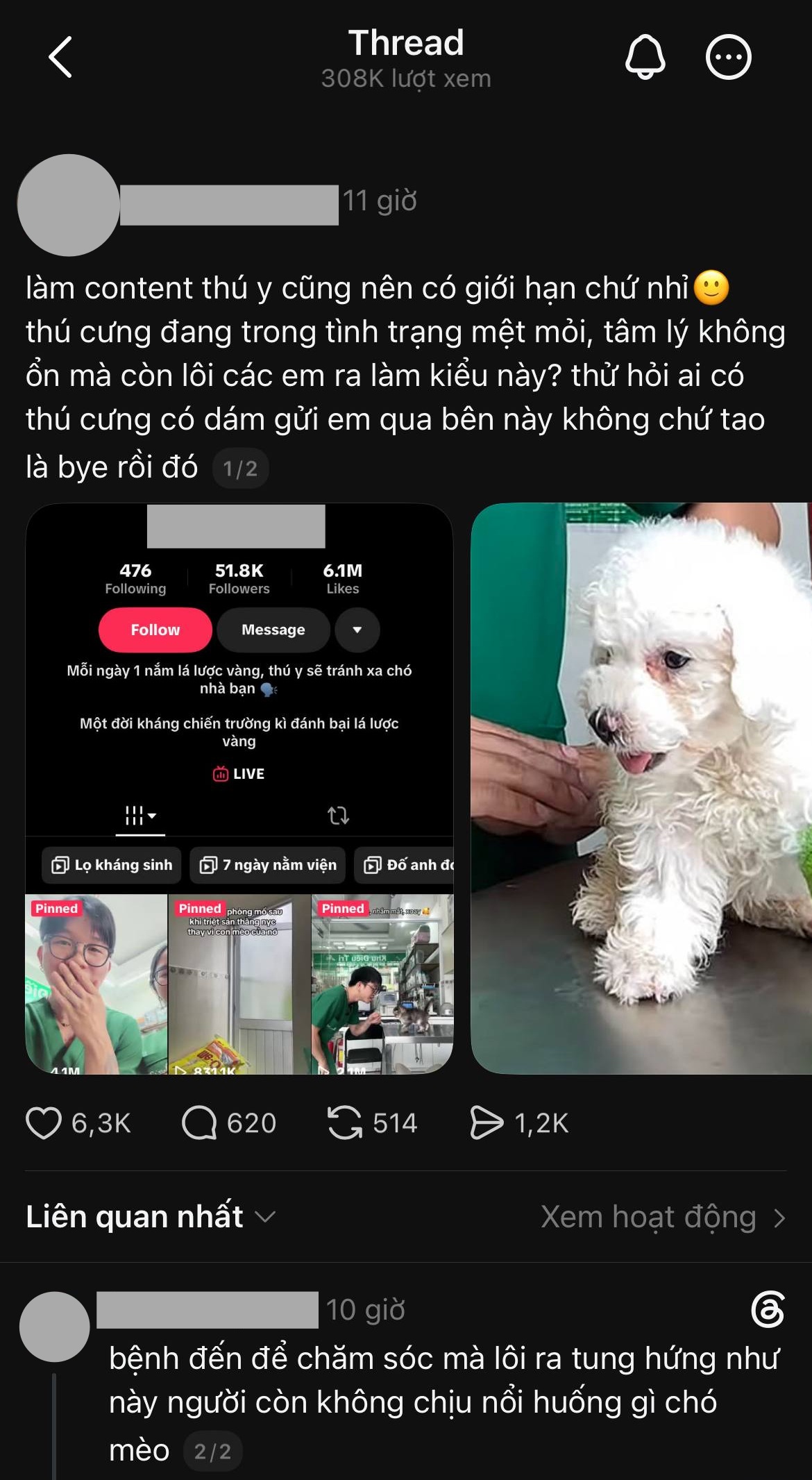 B&aacute;c sĩ th&uacute; y ở TP.HCM bị cho nghỉ việc sau vụ việc g&acirc;y phẫn nộ- Ảnh 1.