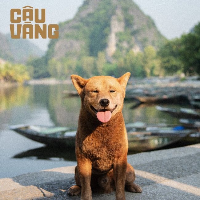 5 phim Việt Nam dở nhất mọi thời đại: Hạng 1 l&agrave; đỉnh cao của thảm họa, ai chưa xem l&agrave; qu&aacute; may mắn- Ảnh 9.
