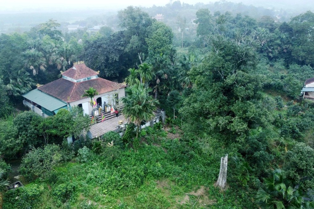 Hai c&acirc;y gỗ qu&yacute; hơn 200 tuổi ở Việt Nam: Được trả 100 tỷ vẫn kh&ocirc;ng b&aacute;n, cả l&agrave;ng thay nhau canh giữ - Ảnh 1.