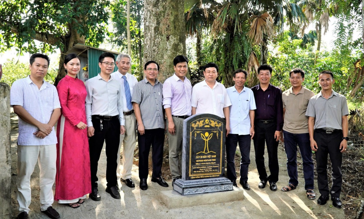 Hai c&acirc;y gỗ qu&yacute; hơn 200 tuổi ở Việt Nam: Được trả 100 tỷ vẫn kh&ocirc;ng b&aacute;n, cả l&agrave;ng thay nhau canh giữ - Ảnh 4.