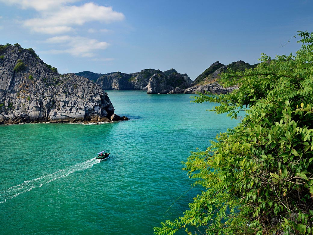 Cảnh tượng ở vịnh Lan Hạ, C&aacute;t B&agrave; khiến nhiều người bất ngờ, thốt l&ecirc;n: Kh&ocirc;ng tin v&agrave;o mắt m&igrave;nh - Ảnh 3.