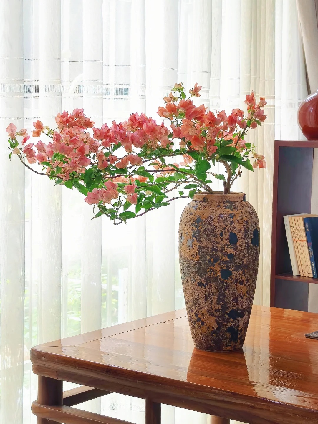 Lời khuy&ecirc;n cho người muốn trồng hoa giấy bonsai trong nh&agrave;- Ảnh 2.