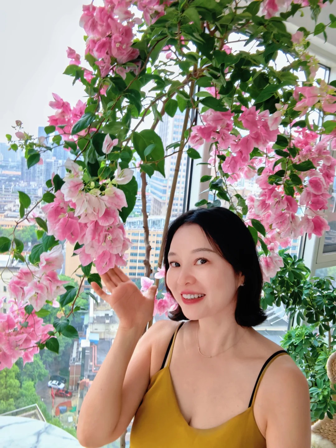 Lời khuy&ecirc;n cho người muốn trồng hoa giấy bonsai trong nh&agrave;- Ảnh 1.