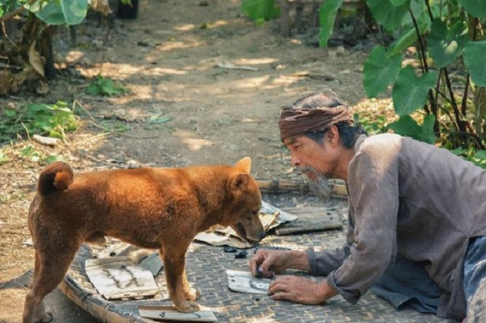 5 phim Việt Nam dở nhất mọi thời đại: Hạng 1 l&agrave; đỉnh cao của thảm họa, ai chưa xem l&agrave; qu&aacute; may mắn- Ảnh 8.