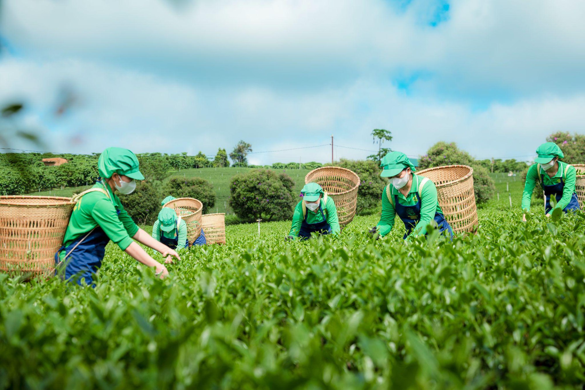 Tr&agrave; Ph&uacute; Sỹ v&agrave; h&agrave;nh tr&igrave;nh đưa hương tr&agrave; truyền thống đến với người trẻ - Ảnh 1.