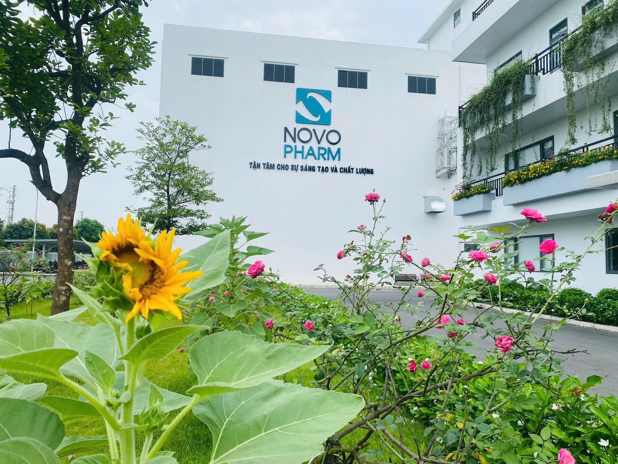 Dược Novopharm số hóa bao bì, vận hành chuyển đổi xanh - Hòa nhịp cùng xu hướng Net Zero toàn cầu! - Ảnh 5. Dược Novopharm số hóa bao bì, vận hành chuyển đổi xanh - Hòa nhịp cùng xu hướng Net Zero toàn cầu! - Ảnh 5.