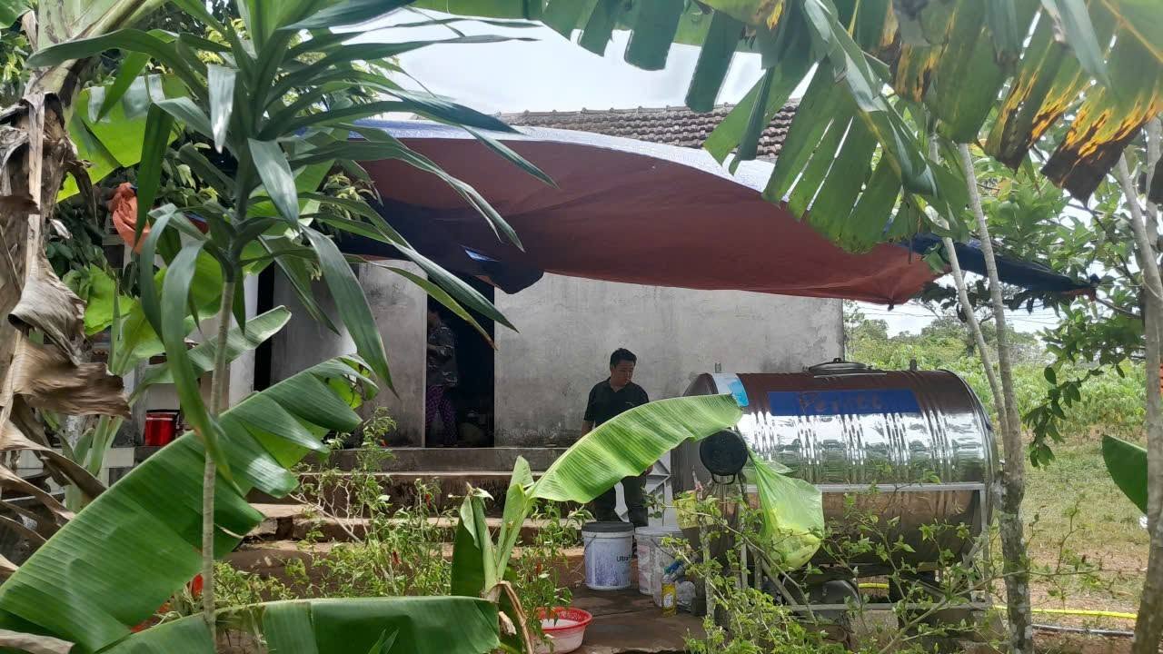 Người phụ nữ tử vong sau khi bị rắn độc cắn khi v&agrave;o rừng h&aacute;i c&acirc;y thuốc nam - Ảnh 1.