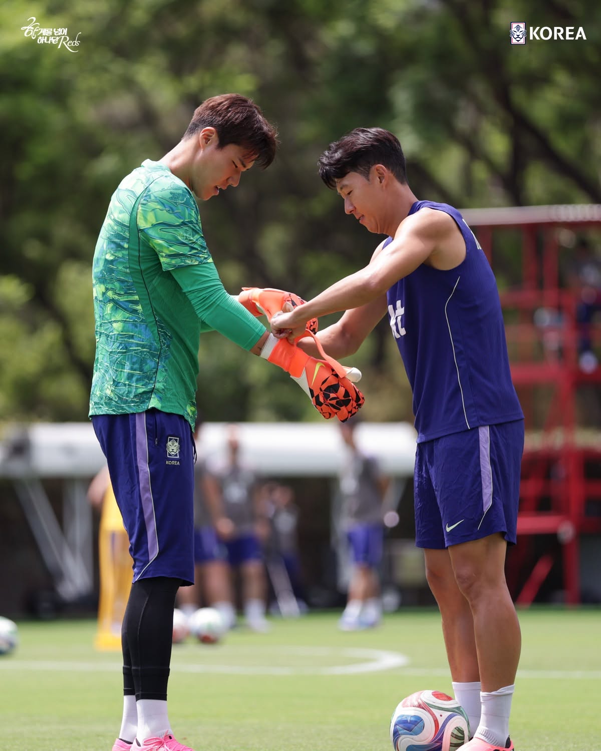 Mỉa mai "quốc bảo" Son Heung-min, truyền th&ocirc;ng H&agrave;n Quốc nhận c&aacute;i kết đắng ngắt ở World Cup  - Ảnh 2.