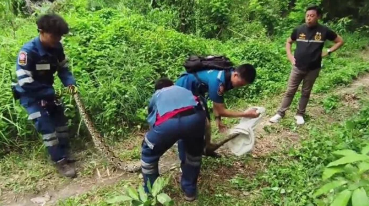 Đang đi dạo gặp cảnh "nổi da g&agrave;", người phụ nữ lập tức h&ocirc; ho&aacute;n người tới xem - Ảnh 2.