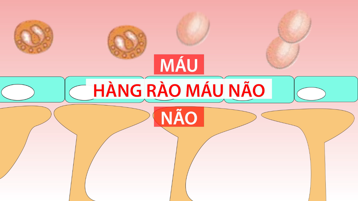 Bột ngọt v&agrave; những hiểu lầm k&eacute;o d&agrave;i nhiều năm - Ảnh 2.