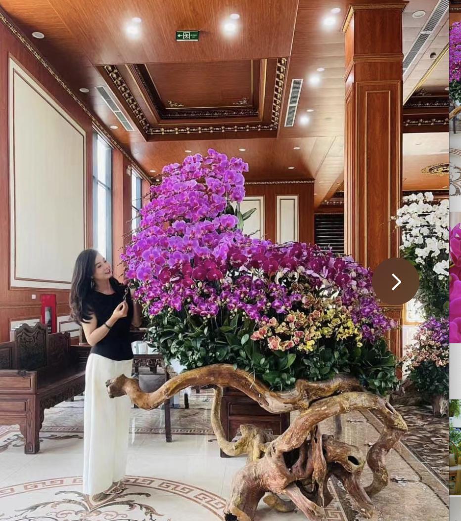 Người phụ nữ g&acirc;y sốt với &ldquo;ph&ograve;ng kh&aacute;ch hoa lan&rdquo; hơn 1.000 chậu: Kh&ocirc;ng gian ngập sắc hoa khiến ai nh&igrave;n cũng muốn ngắm m&atilde;i- Ảnh 2.