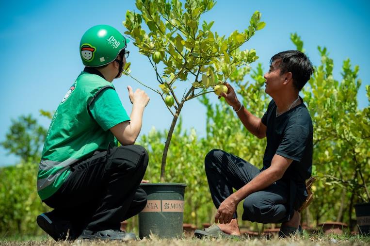 Kinh doanh cây cảnh online: Làm sao để hạn chế rủi ro khi giao hàng? - Ảnh 1. Kinh doanh cây cảnh online: Làm sao để hạn chế rủi ro khi giao hàng? - Ảnh 1.