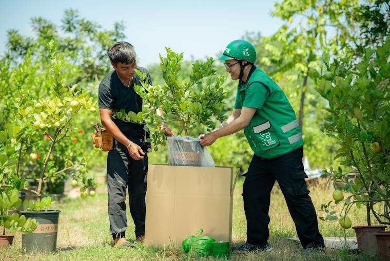 Kinh doanh cây cảnh online: Làm sao để hạn chế rủi ro khi giao hàng? - Ảnh 2. Kinh doanh cây cảnh online: Làm sao để hạn chế rủi ro khi giao hàng? - Ảnh 2.