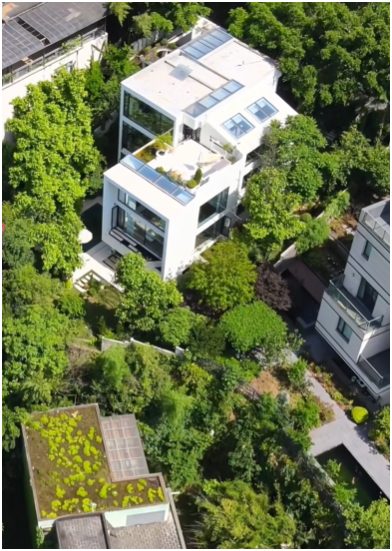 Hồ c&aacute; Koi tr&ecirc;n ban c&ocirc;ng, cửa sổ view "4 m&ugrave;a" của ch&agrave;ng trai l&ecirc;n n&uacute;i x&acirc;y nh&agrave; sống c&ugrave;ng 4 ch&uacute; ch&oacute;- Ảnh 3.