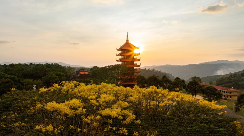 Việt Nam c&oacute; th&agrave;nh phố m&aacute;t lạnh cao 900m: Nơi ra đời 108 l&aacute; thư t&igrave;nh Trịnh C&ocirc;ng Sơn, nay lại g&acirc;y sốt với cổng trời của Sơn T&ugrave;ng M-TP - Ảnh 8.