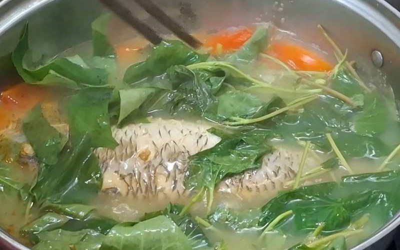Matcha có thực sự tốt cho sức khỏe? Đây là những gì khoa học nói - Ảnh 3.