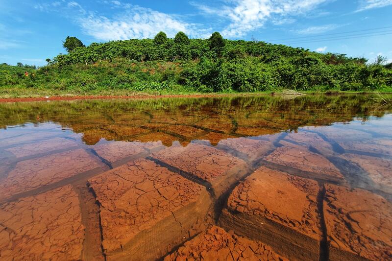 Việt Nam c&oacute; th&agrave;nh phố m&aacute;t lạnh cao 900m: Nơi ra đời 108 l&aacute; thư t&igrave;nh Trịnh C&ocirc;ng Sơn, nay lại g&acirc;y sốt với cổng trời của Sơn T&ugrave;ng M-TP - Ảnh 15.