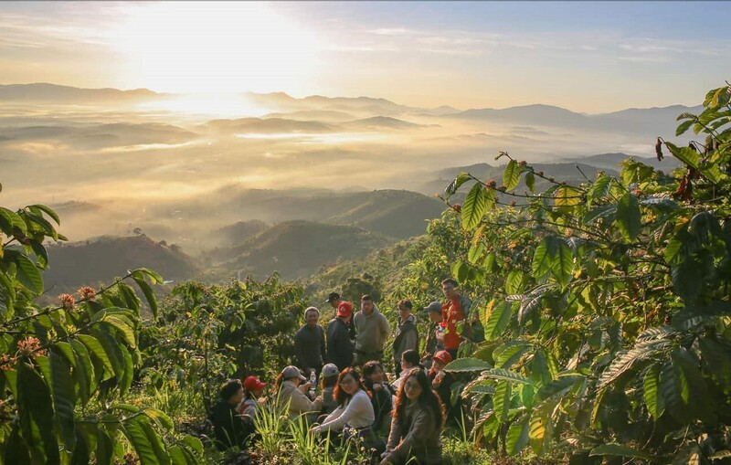 Việt Nam c&oacute; th&agrave;nh phố m&aacute;t lạnh cao 900m: Nơi ra đời 108 l&aacute; thư t&igrave;nh Trịnh C&ocirc;ng Sơn, nay lại g&acirc;y sốt với cổng trời của Sơn T&ugrave;ng M-TP - Ảnh 13.