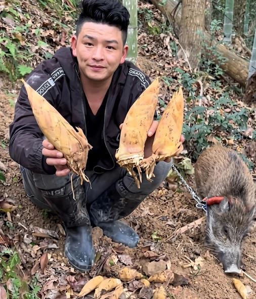 Chỉ nu&ocirc;i con lợn nặng 15kg, người đ&agrave;n &ocirc;ng kiếm được gần 500 triệu đồng - Ảnh 1.
