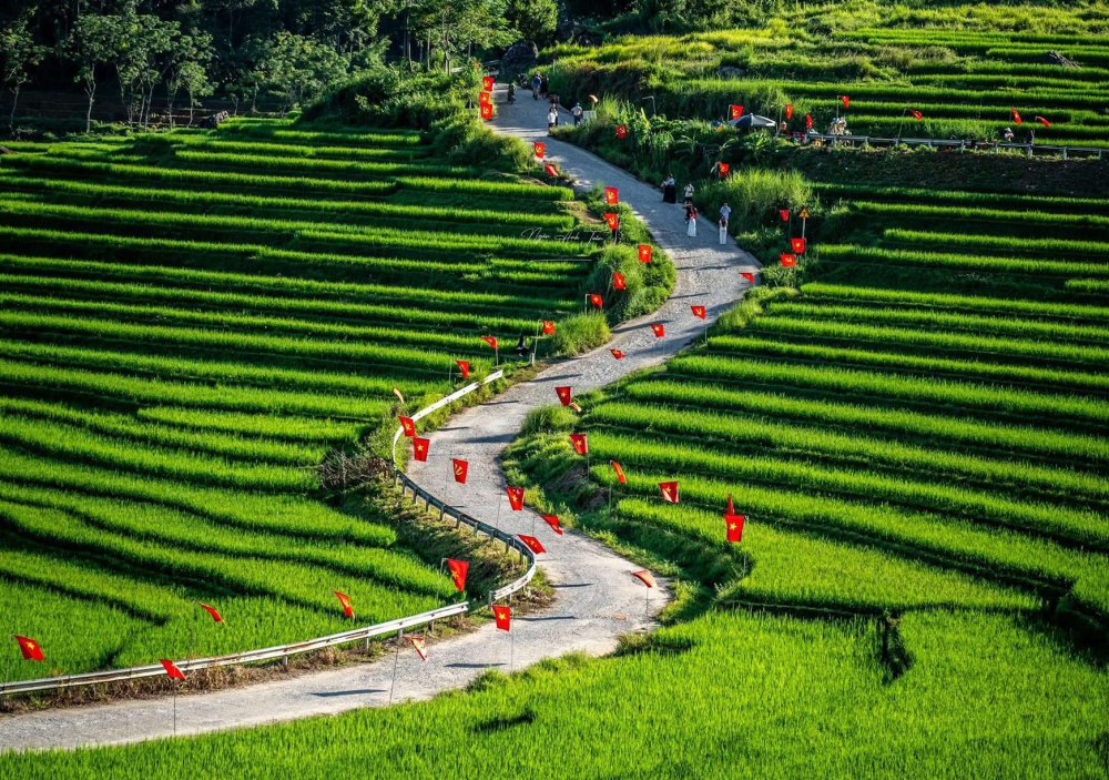 Kh&aacute;ch T&acirc;y dậy từ 4 giờ s&aacute;ng, sững sờ ph&aacute;t hiện Ph&uacute; Quốc cất giấu một thứ m&agrave; đi khắp thế giới chưa từng gặp- Ảnh 7.