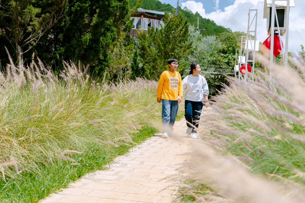 Pink Valley: Thung lũng đẹp như cổ t&iacute;ch ở Đ&agrave; Lạt khiến giới trẻ m&ecirc; mẩn chỉ với 120.000 đồng - Ảnh 6.