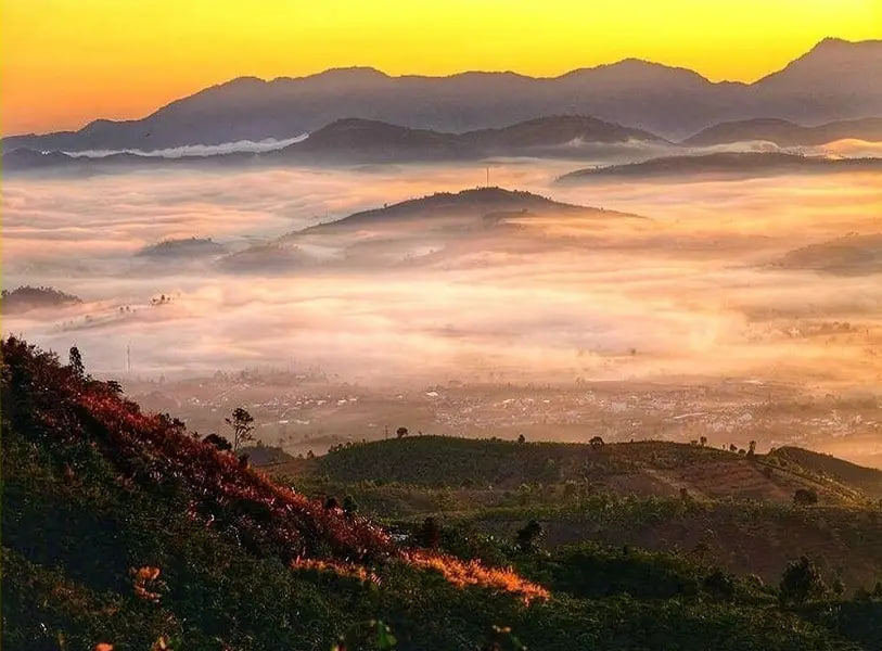 Việt Nam c&oacute; th&agrave;nh phố m&aacute;t lạnh cao 900m: Nơi ra đời 108 l&aacute; thư t&igrave;nh Trịnh C&ocirc;ng Sơn, nay lại g&acirc;y sốt với cổng trời của Sơn T&ugrave;ng M-TP - Ảnh 11.
