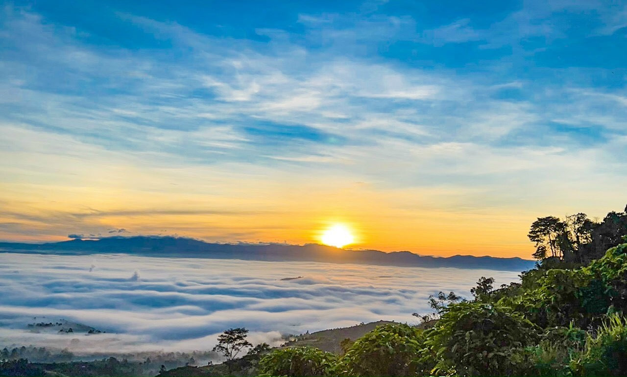 Việt Nam c&oacute; th&agrave;nh phố m&aacute;t lạnh cao 900m: Nơi ra đời 108 l&aacute; thư t&igrave;nh Trịnh C&ocirc;ng Sơn, nay lại g&acirc;y sốt với cổng trời của Sơn T&ugrave;ng M-TP - Ảnh 12.