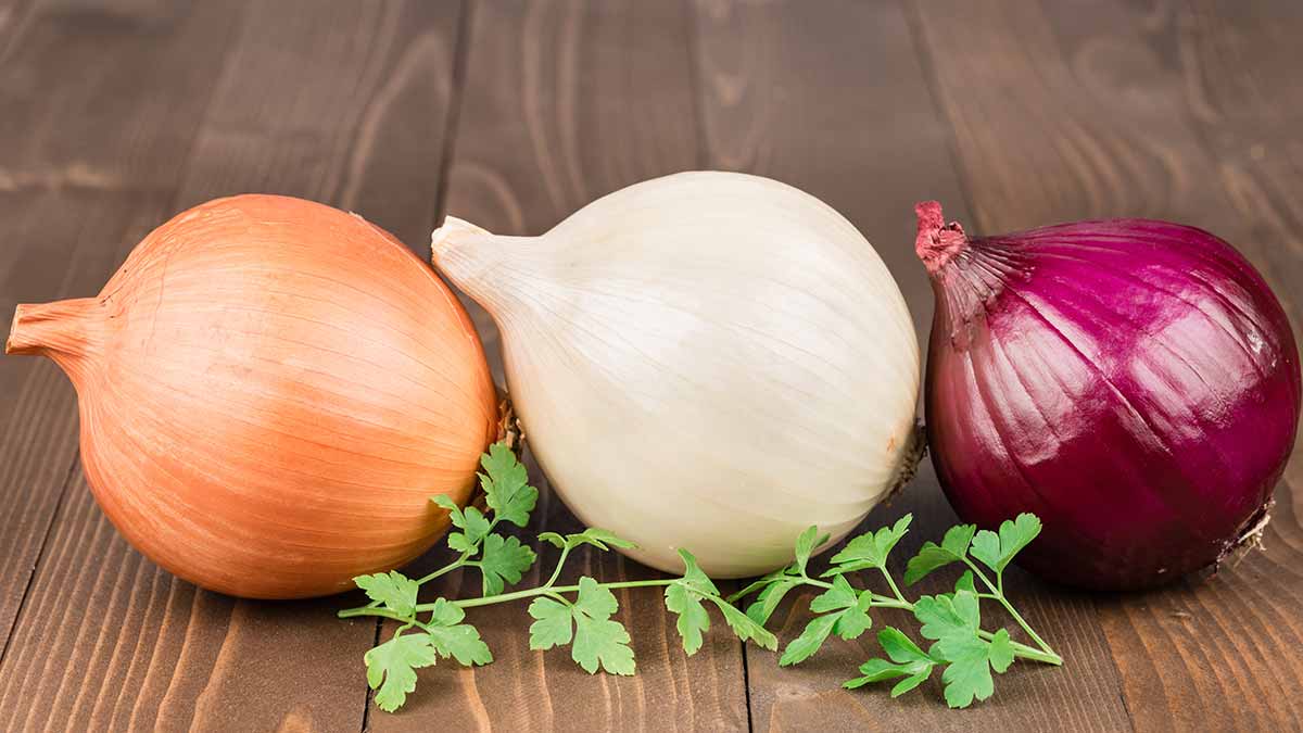 Nghi&ecirc;n cứu mới: Tin mừng cho những người th&iacute;ch ăn h&agrave;nh t&acirc;y - Ảnh 1.