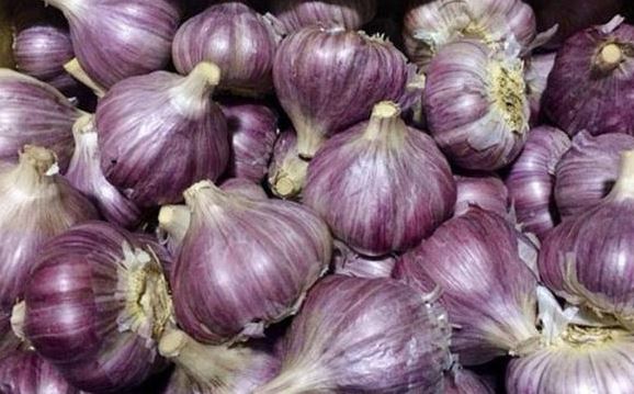 Ăn tỏi mỗi s&aacute;ng khi bụng đ&oacute;i, người đ&agrave;n &ocirc;ng 58 tuổi nhận c&aacute;i kết "kh&ocirc;ng thể ngờ" - Ảnh 3.